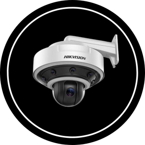 Surveillance & Monitoring